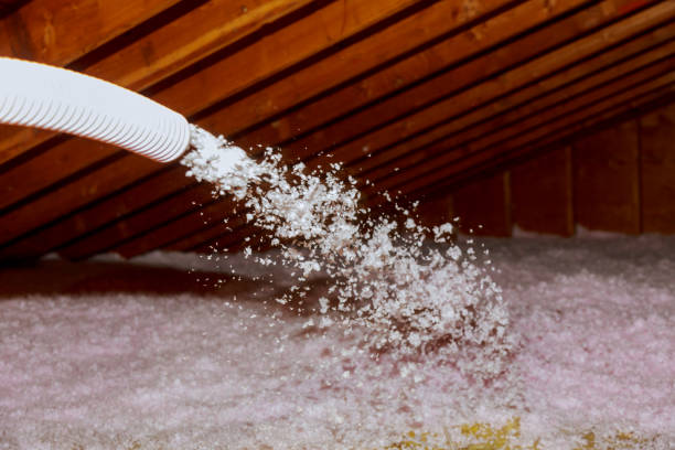 Best Crawl Space Insulation  in Bayou Vista, LA