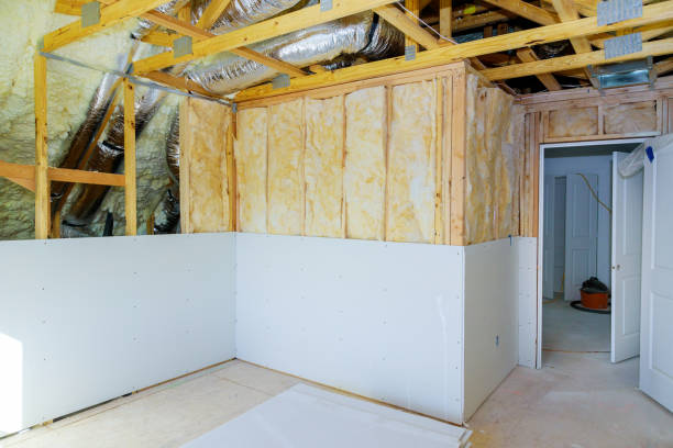 Best Insulation Contractor Near Me  in Bayou Vista, LA